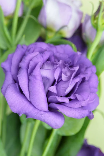 Hermoso Ramo Flores Blancas Moradas Arreglo Floral Decorativo Para Las —  Fotos de Stock