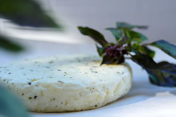 Salato Fresco Levantino Halloumi Formaggio Rametto Basilico Uno Sfondo Bianco — Foto Stock