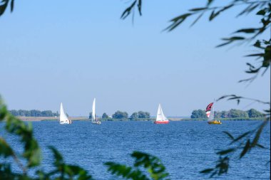 Cherkasy, Ukrayna, Ağustos 2020. Güneşli bir günde Dinyeper nehrinde yelken açmak. Yelkenli yarışı..