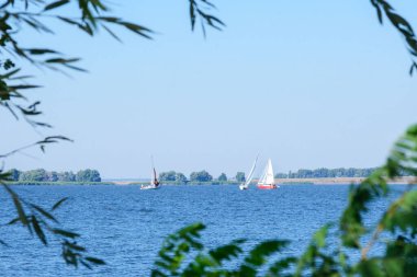 Cherkasy, Ukrayna, Ağustos 2020. Güneşli bir günde Dinyeper nehrinde yelken açmak. Yelkenli yarışı..