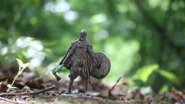 Figura Del Bosque Lado Vikingo Por Viento Vegetación Guerrero — Vídeo de stock