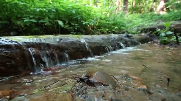 Dans la nature les ravins du quartier Kuntsevo 