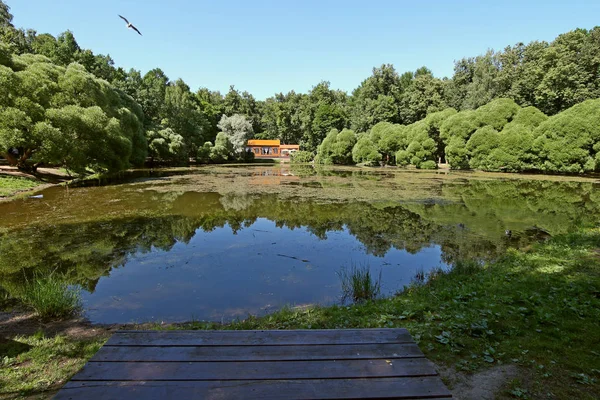 モスクワ川の公園の自然 — ストック写真