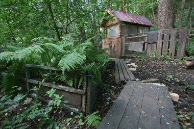 Bir bahar Sertleştirme için doğa yeşil ahşap kutu