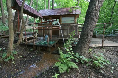 Bir bahar Sertleştirme için doğa yeşil ahşap kutu