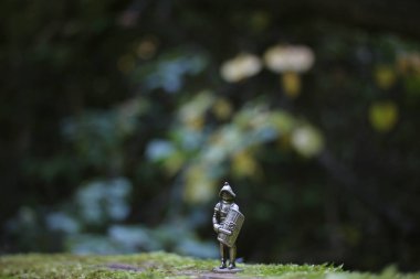 Yaz doğa bokeh şövalye zırh