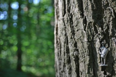 Yaz doğa bokeh şövalye zırh