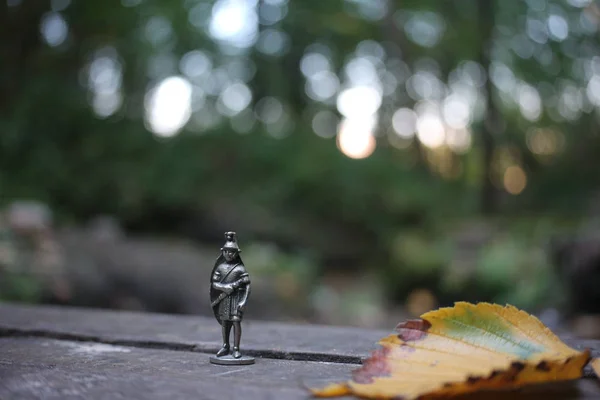 Herbst Blätter Bokeh Figur — Stockfoto