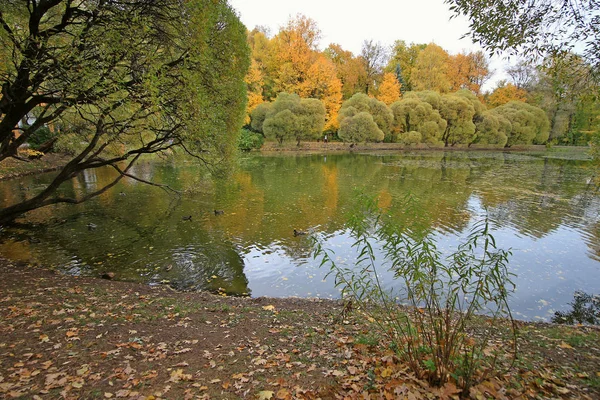 Podzimní Rybník Města Moskva — Stock fotografie
