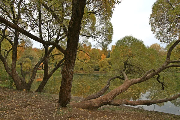 Осенний Парк — стоковое фото