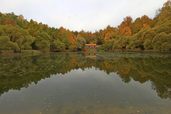 Ciudad Moscú Estanque Otoño —  Fotos de Stock