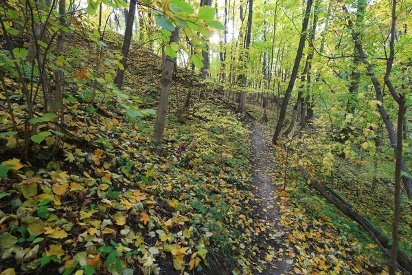 Herfst Ravijnen Aard Van Moskou District Van Kuntsevo — Stockfoto