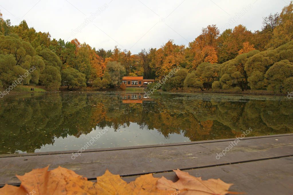 City Moscow autumn pond