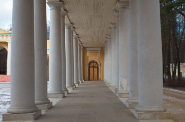 Rusya manor Arkhangelsk kış