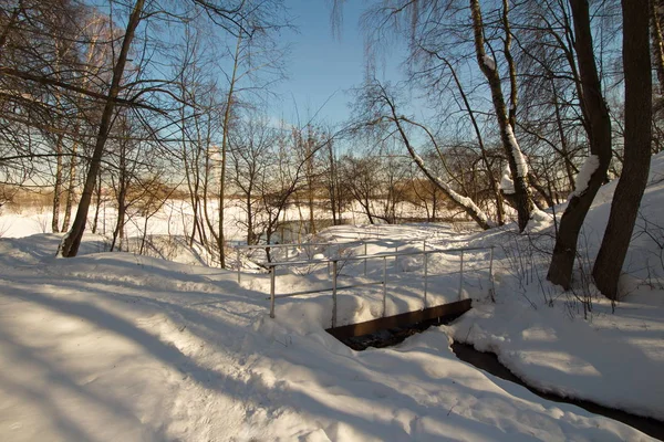 Pejzaż Zimowy City Moscow Park — Zdjęcie stockowe