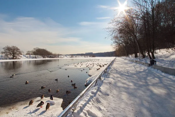 Pejzaż Zimowy City Moscow Park — Zdjęcie stockowe