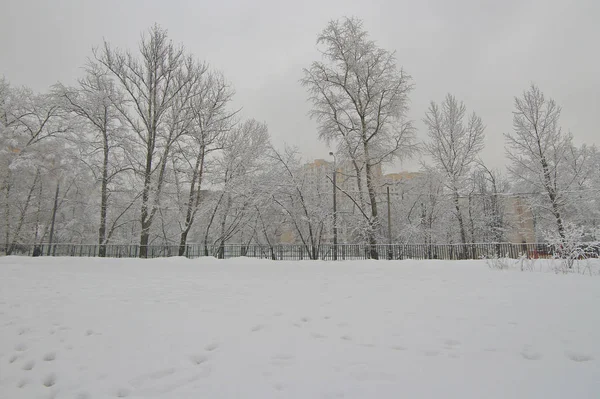 Architectuur Van Gebouw Van Het Kuntsevo Van Winter Van Stad — Stockfoto