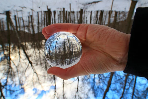 Nature Forest Trees Blue Sky Glass Ball — Stock Photo, Image