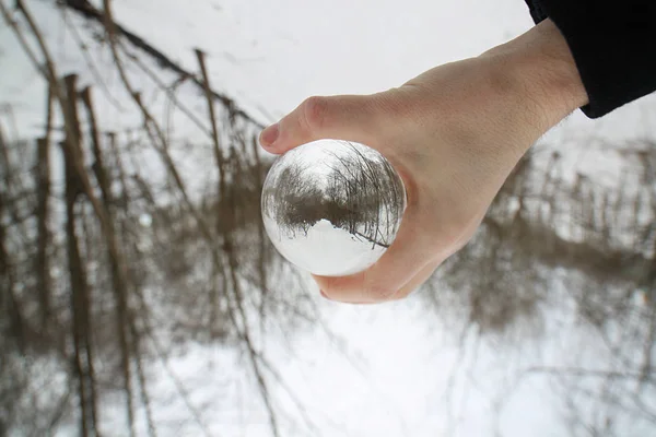 Natura Foresta Alberi Cielo Sfera Vetro — Foto Stock