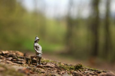 Doğa bahar ağaçları antik şövalye bulanıklık