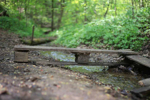 Frühling Stadt Moskau Naturpark — Stockfoto