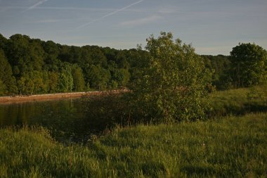 Doğa kırsal manzara yeşil alanlar ağaçlar