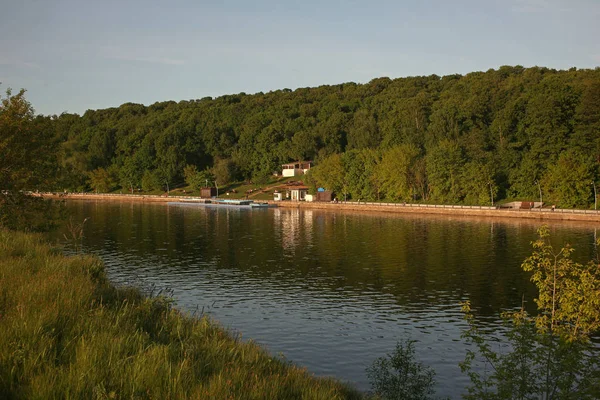 Природа Сільської Місцевості Ландшафтні Зелені Поля Дерева — стокове фото