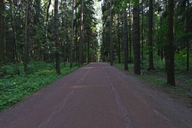 Doğa Parkı Meshchersky ağaçlar bitki örtüsü