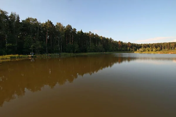 Nature Park Meshchersky Drzew Roślinności — Zdjęcie stockowe