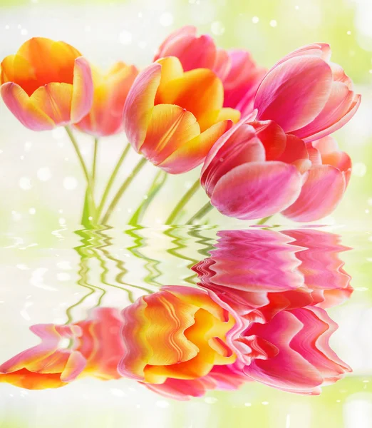 Beautiful Bouquet Yellow Pink Tulip Flowers Green Leaves Reflection Water — Stock Photo, Image