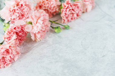 Güzel bir gri taş zemin üzerine pembe karanfil narin çiçekler Buket
