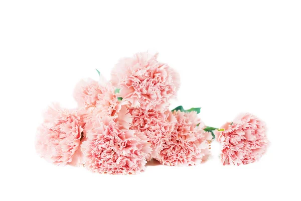Schöner Strauß Zarter Blüten Aus Rosa Nelken Isoliert Auf Weißem — Stockfoto
