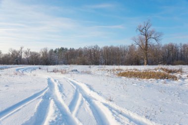 Bir yol ve bir ağaç beyaz ve mavi tonlarda kış manzarası