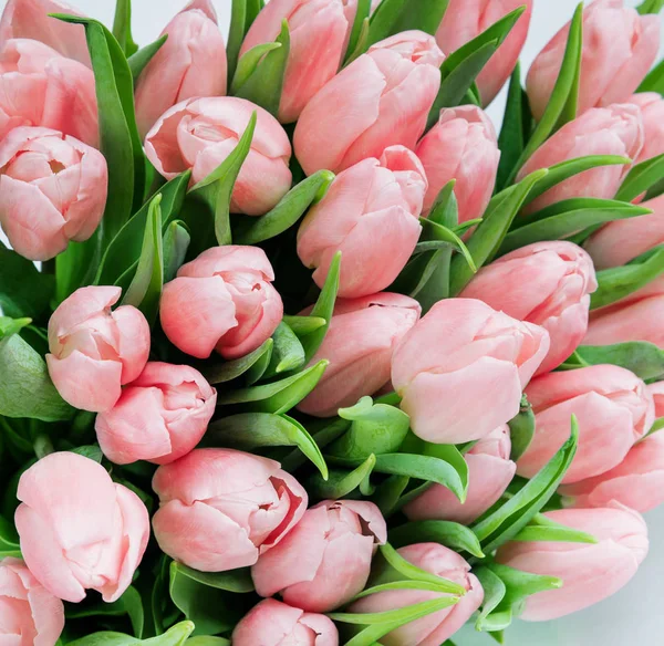 Enorme Bouquet Fiori Tulipani Rossi Freschi Primo Piano Come Bellissimo — Foto Stock