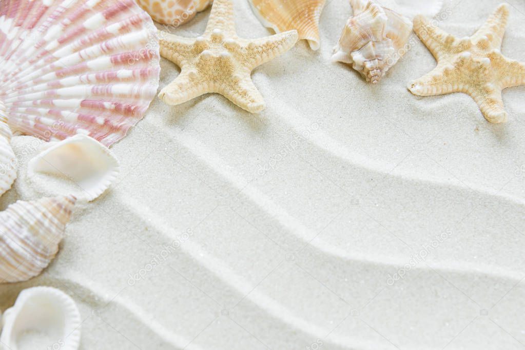 Beautiful frame of clams and starfishes on the background of wavy sea sand