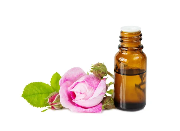 Dark Vial Rose Essential Oil Pink Rose Flower Isolated White — Stock Photo, Image