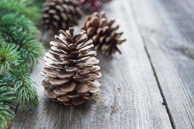 Noel kavramı: çam kozalakları ve arka planda çam dalları eski boyanmamış boşluk ile ahşap panoları