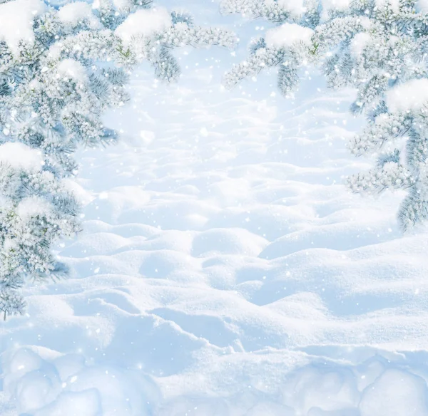 Winter Kerst Schilderachtige Landschap Frosty Zonnige Dag Met Dennen Bedekt — Stockfoto