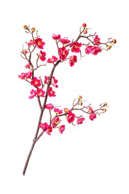 Yapay çiçek açması kiraz beyaz arka plan üzerinde izole parlak pembe çiçekli Şubesi