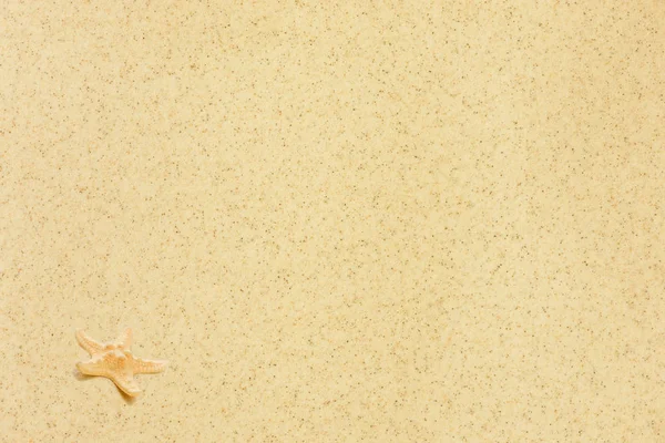 Sjöstjärna Bakgrunden Sea Sand — Stockfoto
