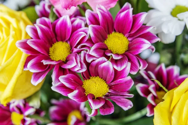 Bouquet Different Flowers Yellow Rose Maroon Chrysanthemum Close — Stock Photo, Image