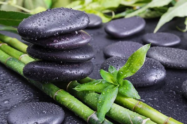 Spa Concept Met Zwart Basalt Massage Stenen Weelderige Groene Gebladerte Rechtenvrije Stockfoto's