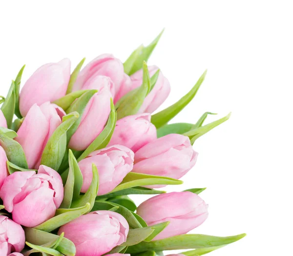 Verse Roze Tulpen Boeket Bloemen Close Geïsoleerd Witte Achtergrond — Stockfoto