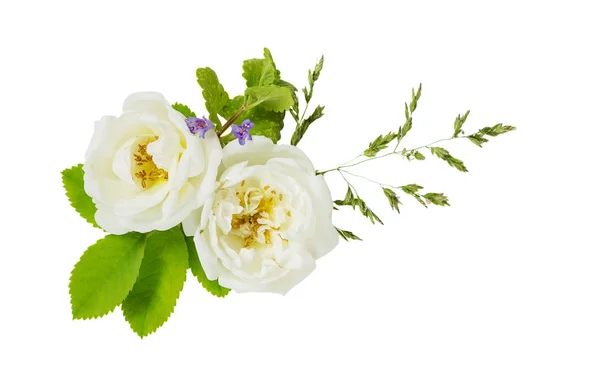 Beautiful Small Bouquet White Flowers Green Leaves Wild Rose Isolated — Stock Photo, Image