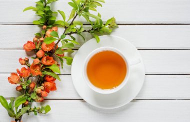 Beyaz porselen fincan yeşil çay ve kırmızı Chaenomeles japonica çiçek beyaz eski ahşap zemin üzerinde branche