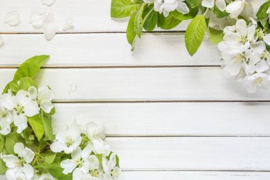 Çerçeve beyaz elma çiçek ve boşluk ile ışık ahşap zemin üzerine yeşil yaprakları ile; Üstten Görünüm, düz yatıyordu, havai görünümü