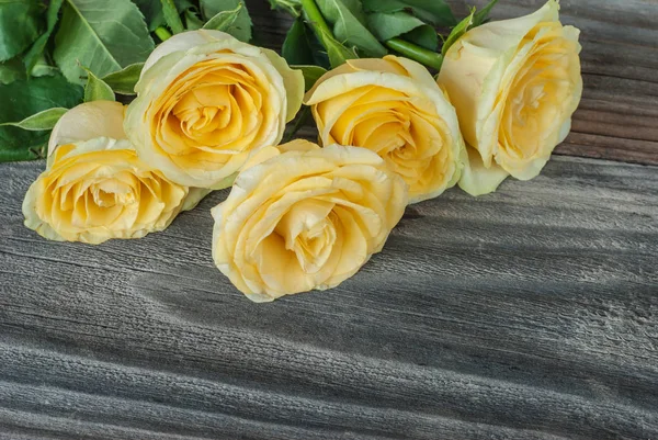 Yellow roses on the old wooden boards — Stock Photo, Image