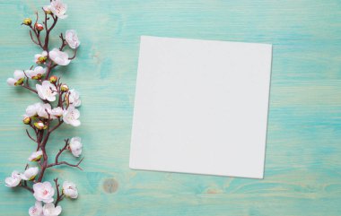 Mavi ahşap arkaplanda beyaz çiçekler