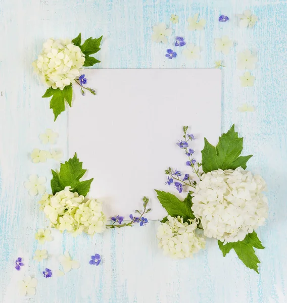 Plakboek-pagina met witte en blauwe bloemen — Stockfoto