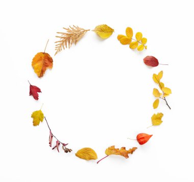 düşen yapraklar sonbaharda çerçeve